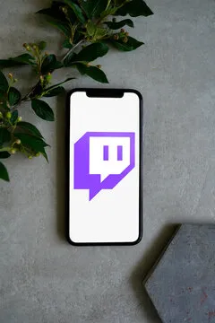 T1 队标